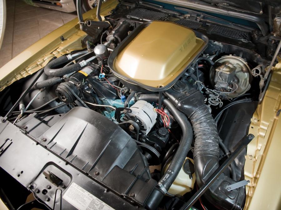  Pontiac Firebird Trans Am Y-88 Gold Special Edition 1978 года  (фото 2 из 10)